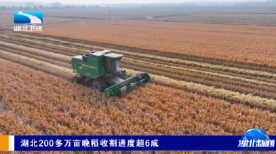 湖北200多万亩晚稻收割进度超6成