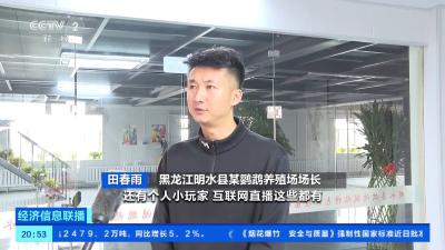 “鹦鹉+饮品+社交”？“爱鸟热”兴起 养殖基地迎订单热潮