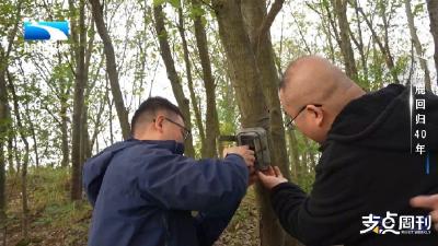 科技护生灵也太酷了，够硬核！