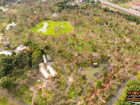 图集 | 荆州浅山森林美术园“枫”景正美