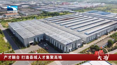 黄石大冶：产才融合 打造县域人才集聚高地