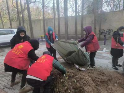 “月湖小红帽”志愿服务队：十五年坚守 绘就汉阳生态文明新画卷