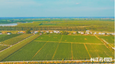 黄岭村：改“三块田” 破发展困局