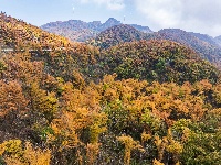 风力发电好风光