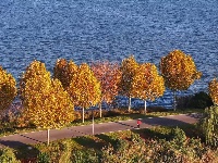 图集 | 枝江金湖，等你来“追鸟”！