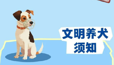 云端锐评 | 从“罚钱”到“罚资格”！武汉养犬新规出新，这些行为违规将取消养狗资格