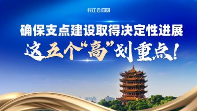 确保支点建设取得决定性进展  这五个“高”划重点！