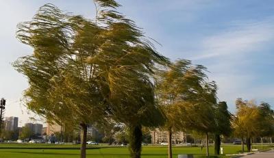 大风降温要来了，平均下降5~9℃！湖北发布最新提醒