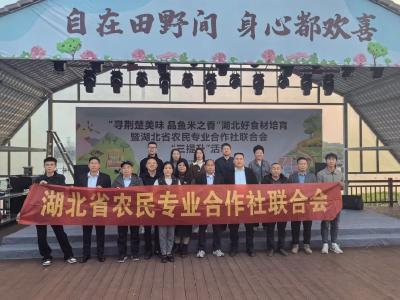 湖北省农民合作社联合会“三提升”活动助力合作社提质增效