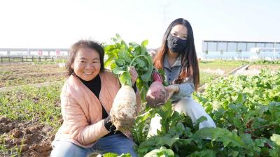 襄阳宜城：“共享菜园”盘活闲置地 解锁乡村“共富”密码