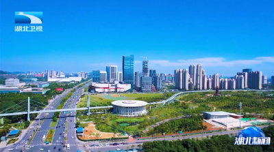 闪亮的足迹·牢记嘱托 荆楚答卷 | 在湖北的科创沃土上“起飞”