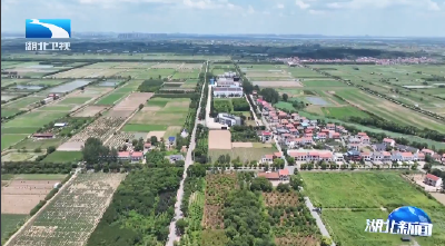 何良军在鄂州调研时强调 强化党建引领基层治理 坚持人才驱动产业发展