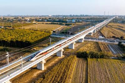 当列车遇上深秋，画面绝美！