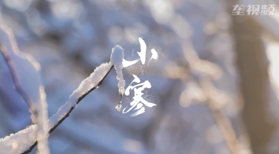 心有热望 哪知小寒