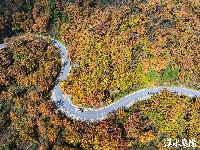 风力发电好风光