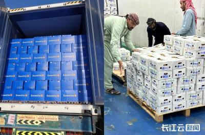 打通中东贸易新通道 湖北供销迪拜展销中心挂牌破局