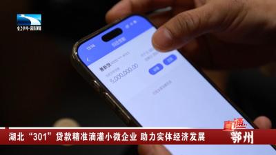 湖北“301”贷款精准滴灌小微企业 助力实体经济发展