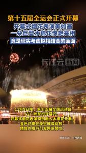 全运会开幕式上的木棉花状烟花，是现实与虚拟相结合画面