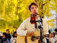 荆州街头银杏金黄 氛围感拉满！