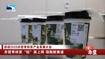 赤壁青砖茶“轻”装上阵 领跑新赛道