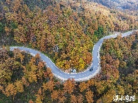 风力发电好风光