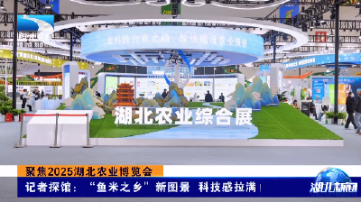 聚焦2025湖北农业博览会丨记者探馆：“鱼米之乡”新图景 科技感拉满！