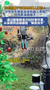 华中农大智能采收机器人亮相，现场表演摘橘子，从采摘到运输都能“解放双手”