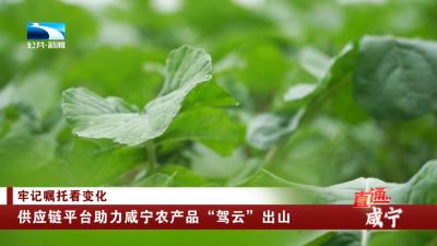 供应链平台助力咸宁农产品“驾云”出山