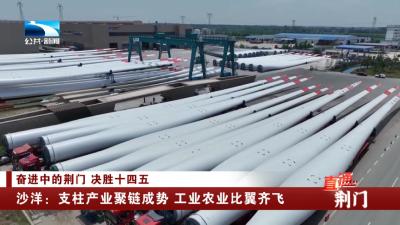 荆门沙洋：支柱产业聚链成势 工业农业比翼齐飞