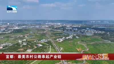 【长江云】宜都：最美农村公路串起产业链