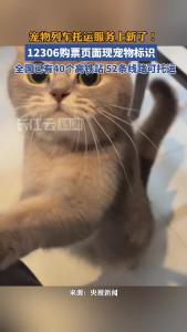 宠物列车托运服务上新了！12306官方购票页面现宠物标识