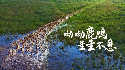 40年，一场跨世纪的重逢