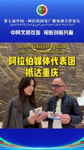 阿拉伯媒体代表团抵达重庆