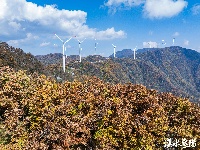 风力发电好风光