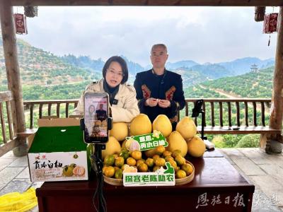 念好白柚产业人才经——宣恩县李家河镇亿元产业的振兴密码