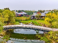 图集丨银杏上金妆！ 荆州纪南文旅区限定款秋色上线