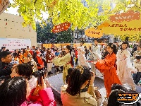 荆州街头银杏金黄 氛围感拉满！