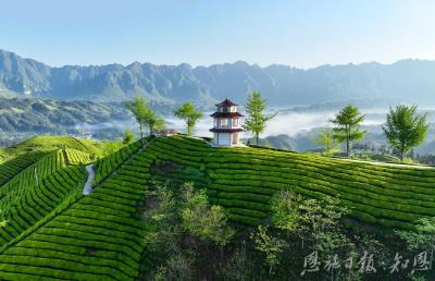 一进一出：产业升级迈新步