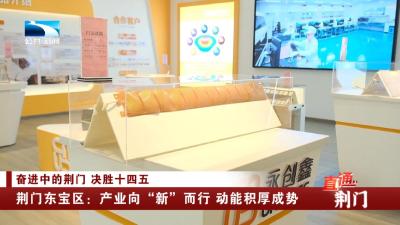 荆门东宝区：产业向“新”而行 动能积厚成势