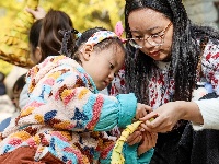 荆州街头银杏金黄 氛围感拉满！