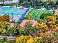 图集丨银杏上金妆！ 荆州纪南文旅区限定款秋色上线