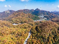 风力发电好风光