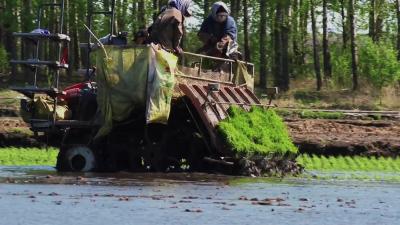 奋斗“十四五”，奔向“十五五”——《青春作伴，好“还乡”》