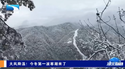 【湖北新闻】大风降温！今冬第一波寒潮来了