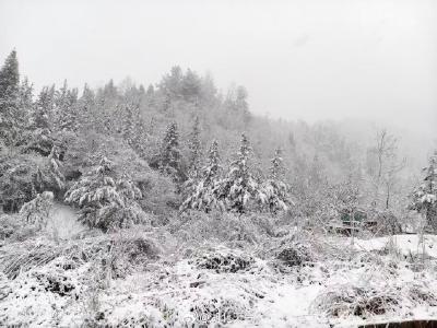 最低-3℃！今日寒潮大风黄色省级预警持续生效，湖北气温将跌至冰点