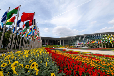 第八届进博会将启，湖北“荆楚之门”向世界发出邀约