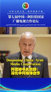 阿拉伯国家联盟秘书长艾哈迈德·阿布·盖特在开幕式上发表视频致辞