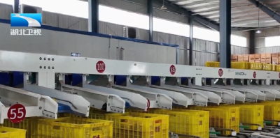 【湖北新闻】“双十一”消费观察 | 湖北生鲜热销 物流铁路齐发力直送全国餐桌