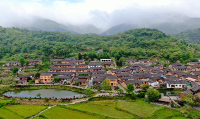 学习进行时｜习近平总书记关心推动老区发展振兴的故事