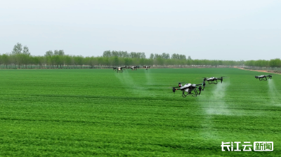 楚地丰饶 鱼米新篇